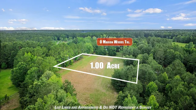 $65,000 | 0 Marion Wds Trail, Bonneau, SC 29431