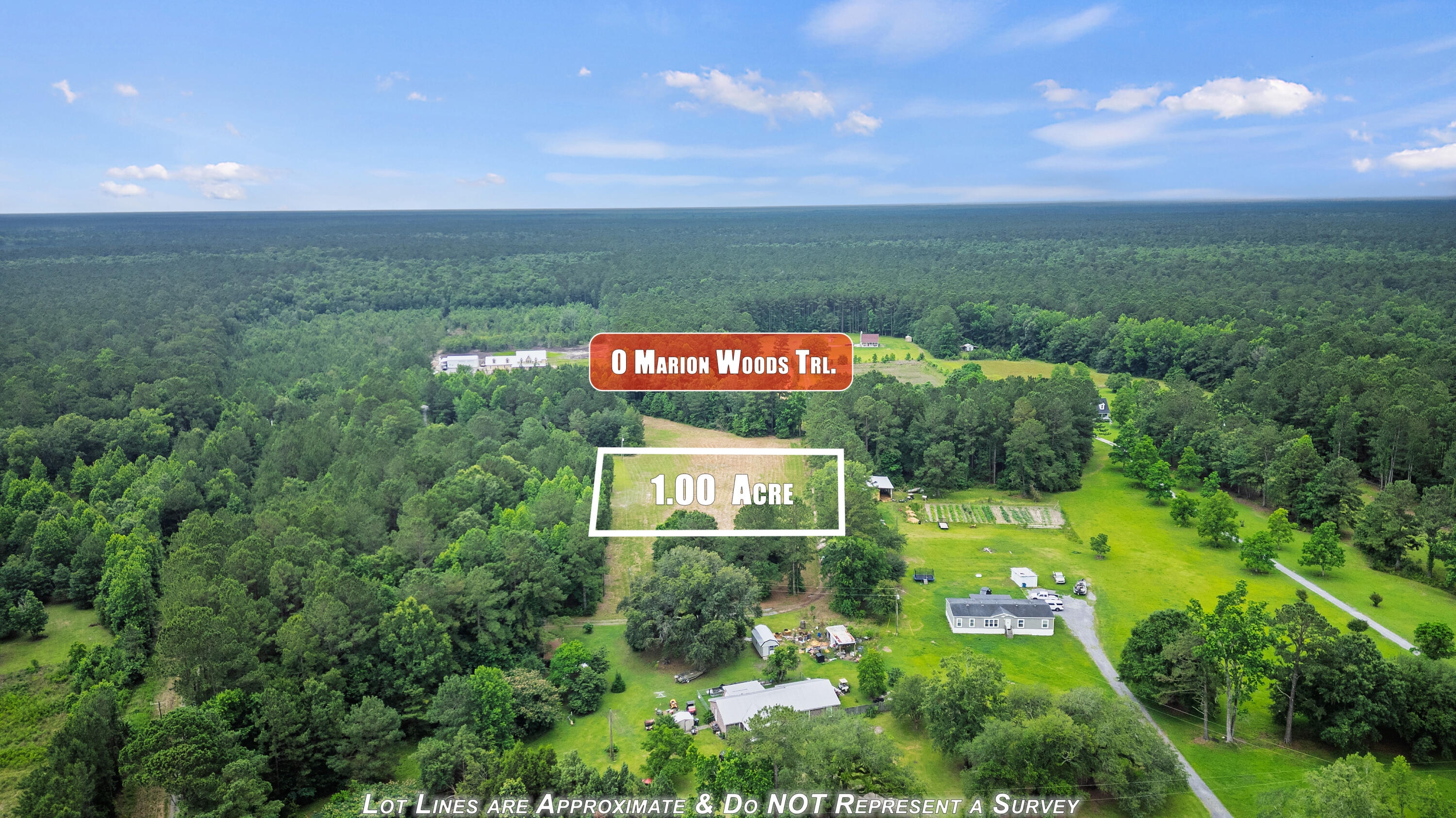 0 Marion Wds Trail Bonneau, SC 29431 - Photo 6 of 12 h1