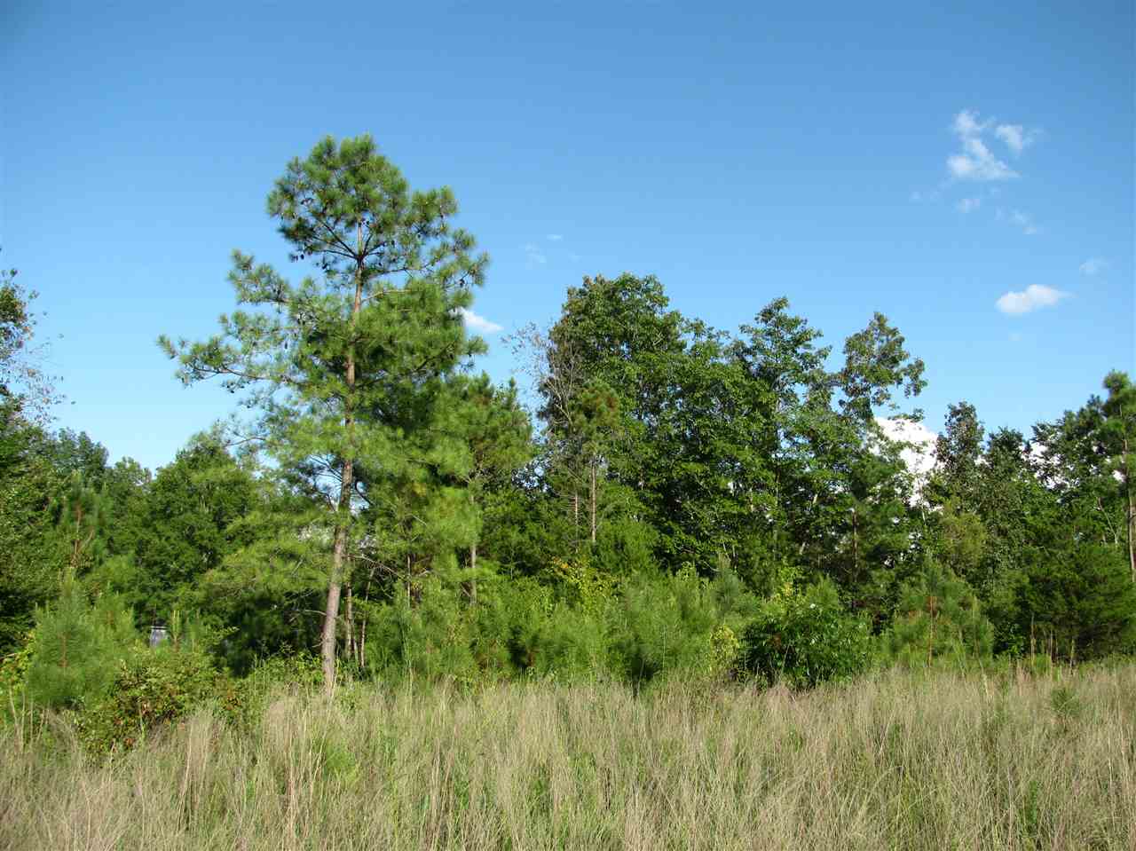 0 Sol Colston Road Finger, TN 38334 - Photo 1 of 3