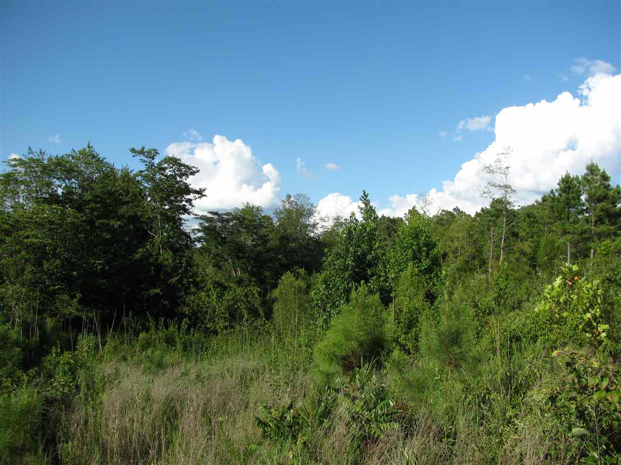 0 Sol Colston Road Finger, TN 38334 - Photo 3 of 3