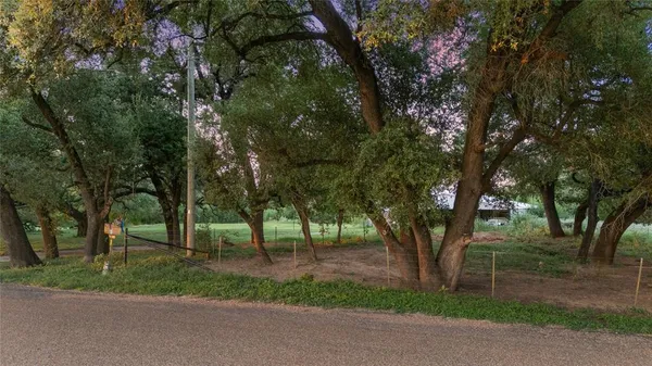 a view of a park with large trees