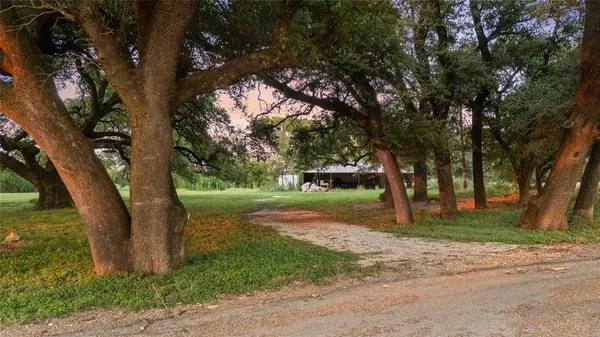 a view of a yard with trees