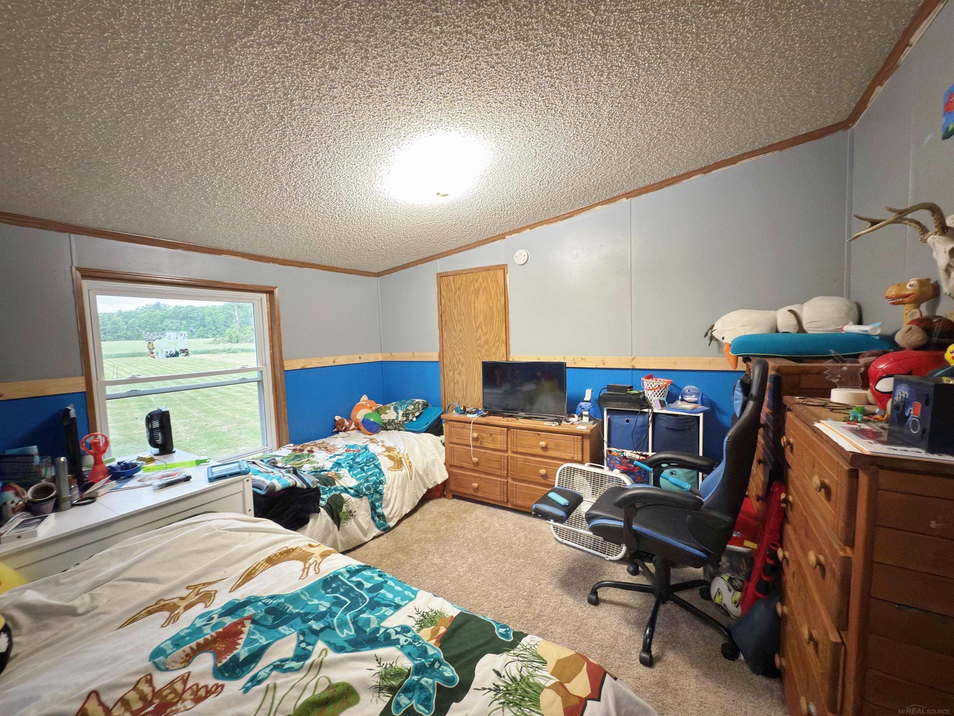 8195 Jordan Road Yale, MI 48097 - Photo 13 of 23