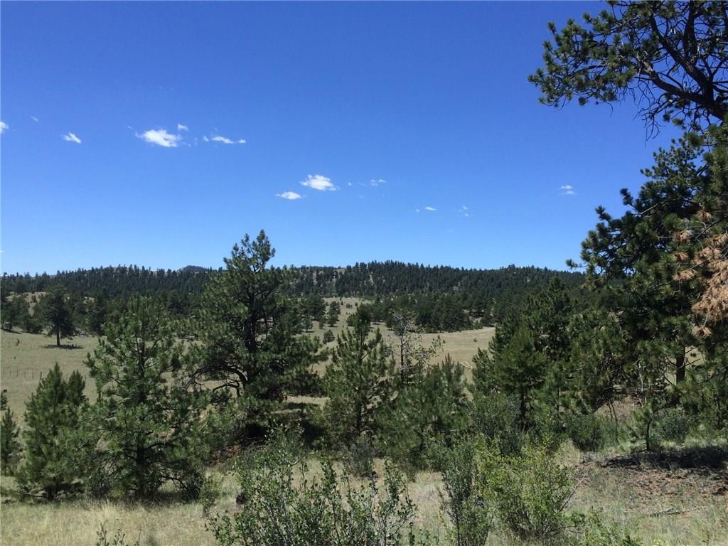 4347 Elkhorn Road Hartsel, CO 80449 - Photo 2 of 19 a view of a city