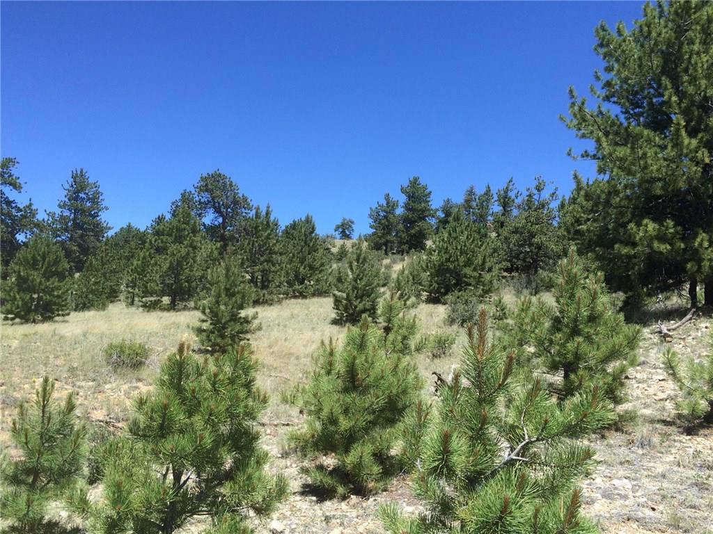 4347 Elkhorn Road Hartsel, CO 80449 - Photo 11 of 19 a view of a forest with trees in the background