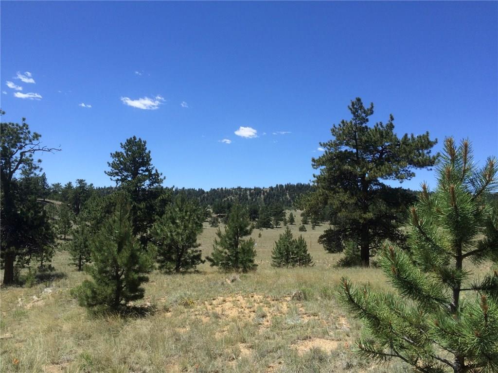 4347 Elkhorn Road Hartsel, CO 80449 - Photo 12 of 19 a view of a yard with a tree