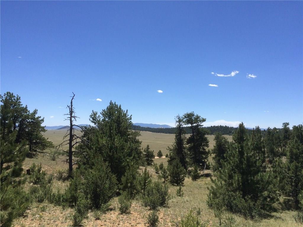 4347 Elkhorn Road Hartsel, CO 80449 - Photo 13 of 19 a view of a building in a field
