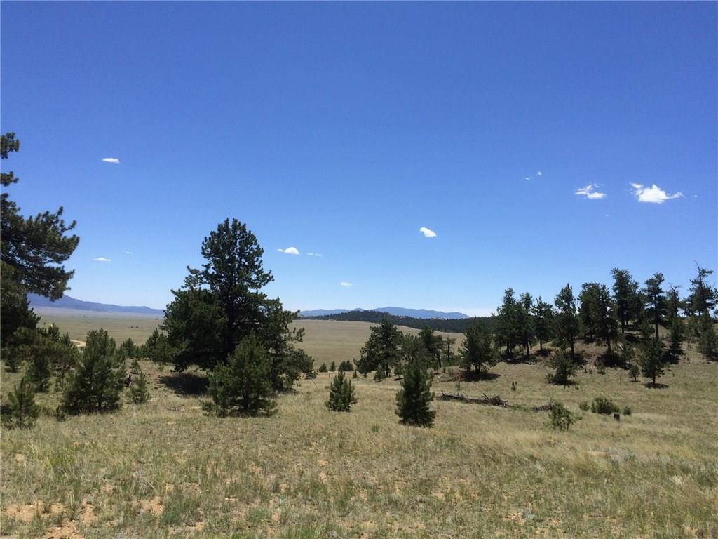 4347 Elkhorn Road Hartsel, CO 80449 - Photo 15 of 19 a view of a covered with snow in the background