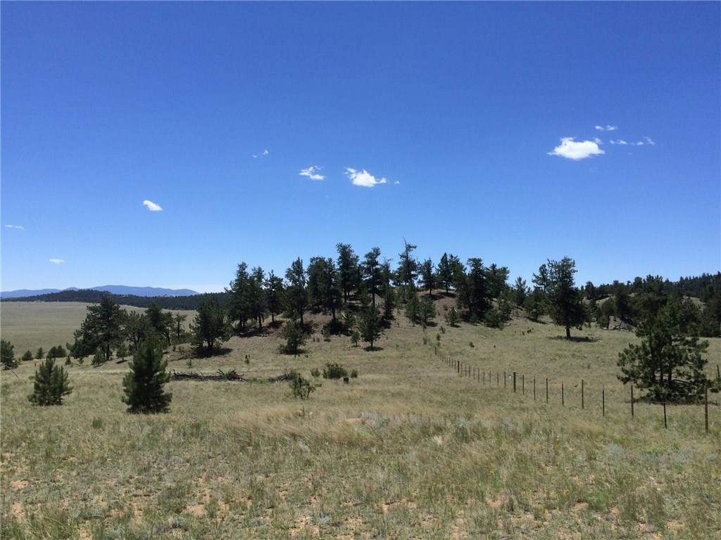 4347 Elkhorn Road Hartsel, CO 80449 - Photo 17 of 19 a view of a dry yard with trees