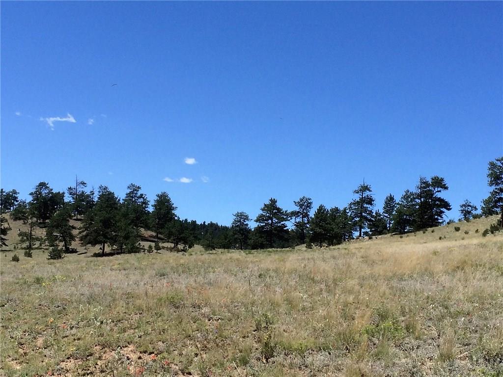 4347 Elkhorn Road Hartsel, CO 80449 - Photo 7 of 19 a view of a yard