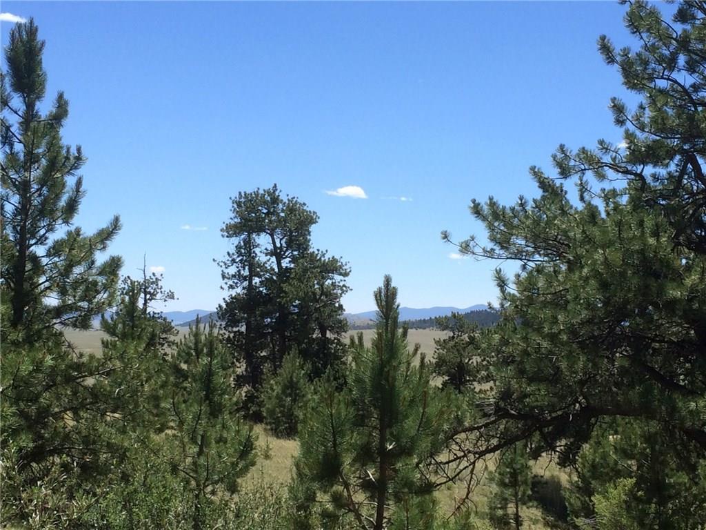 4347 Elkhorn Road Hartsel, CO 80449 - Photo 8 of 19 a view of a city