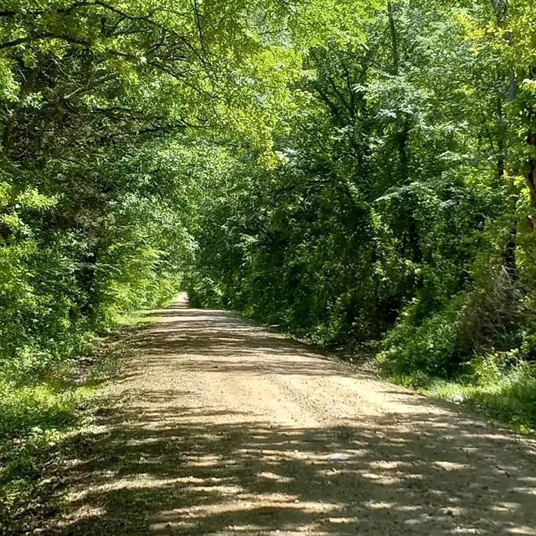2425 County Road 2425 Como, TX 75431 - Photo 1 of 6 CR RD