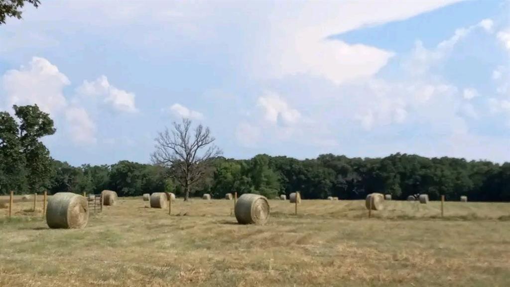 2425 County Road 2425 Como, TX 75431 - Photo 2 of 6 Hay Field