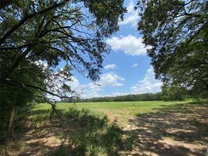 2425 County Road 2425 Como, TX 75431 - Photo 6 of 7 a view of a lake with a yard