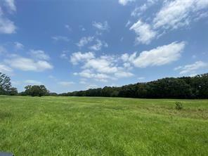 2425 County Road 2425 Como, TX 75431 - Photo 7 of 7 a view of a green field with an outdoor space