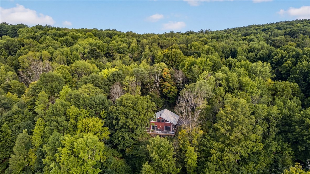 149 Duck Farm Road Worcester, NY 12197 - Photo 4 of 36 Gallery Image 4