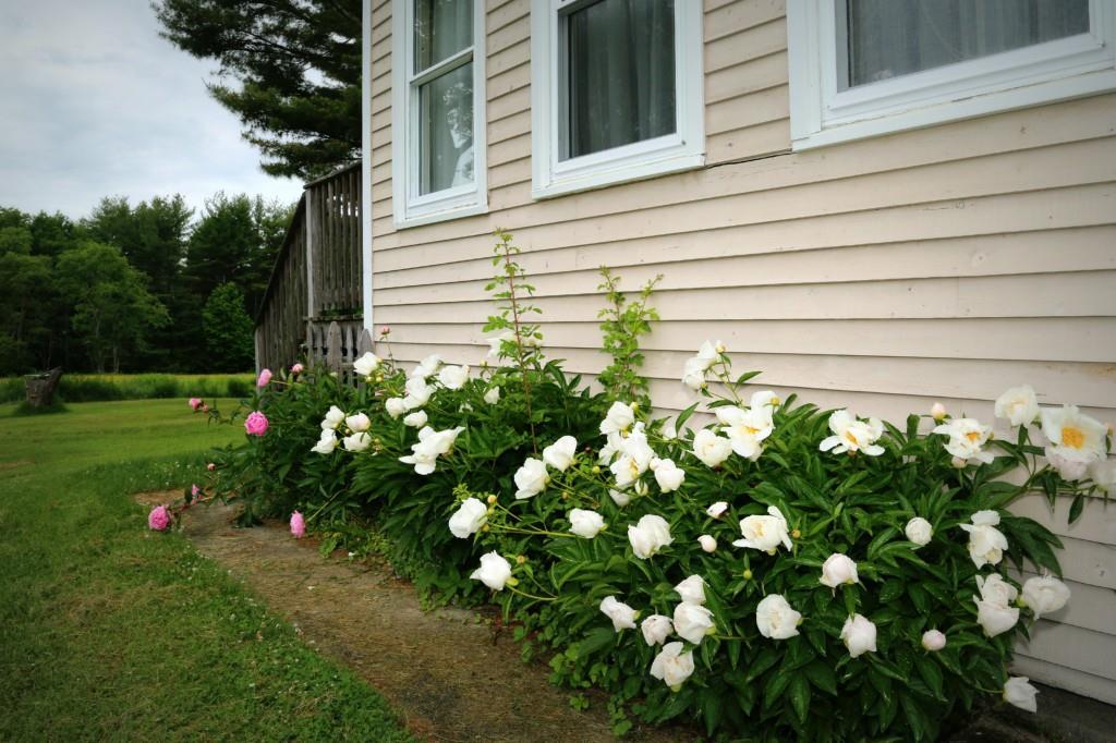 64 Ridge Road Bath, ME 04530 - Photo 33 of 34 Photo