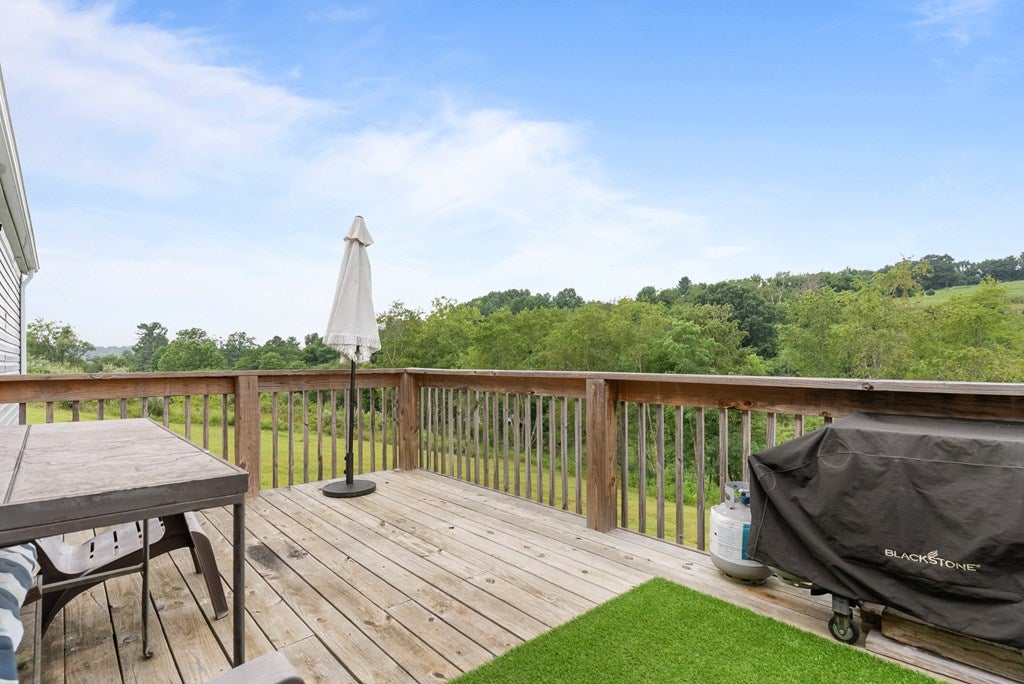 3636 Pine Run Road Draper, VA 24324 - Photo 27 of 43 Gallery Image 27