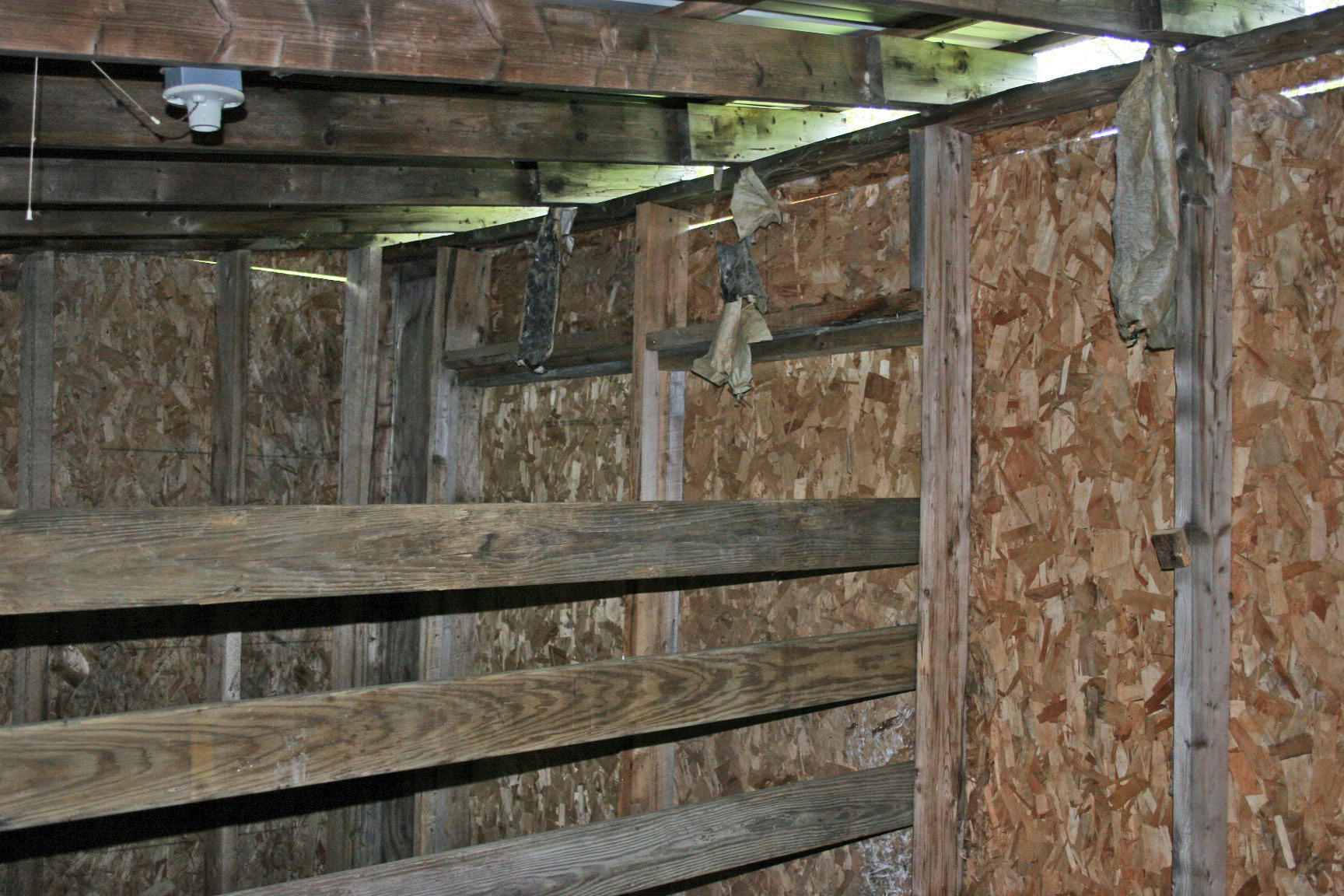 1311 Long Ridge Road Burlington, ME 04417 - Photo 57 of 62 IMG_0490_edited-1