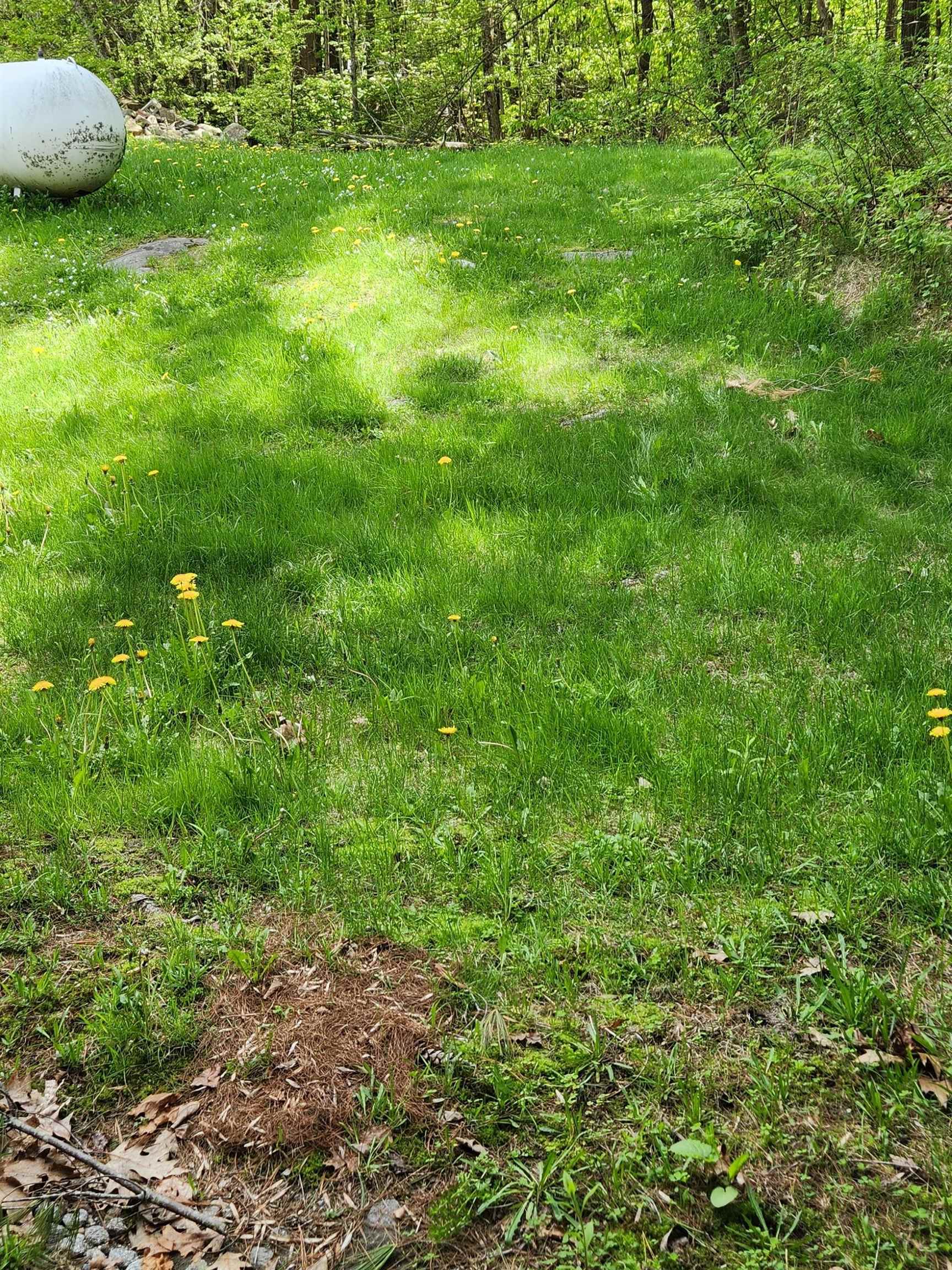 562 New Hampshire Rte 103, Unit 2 Sunapee, NH 03782 - Photo 23 of 23