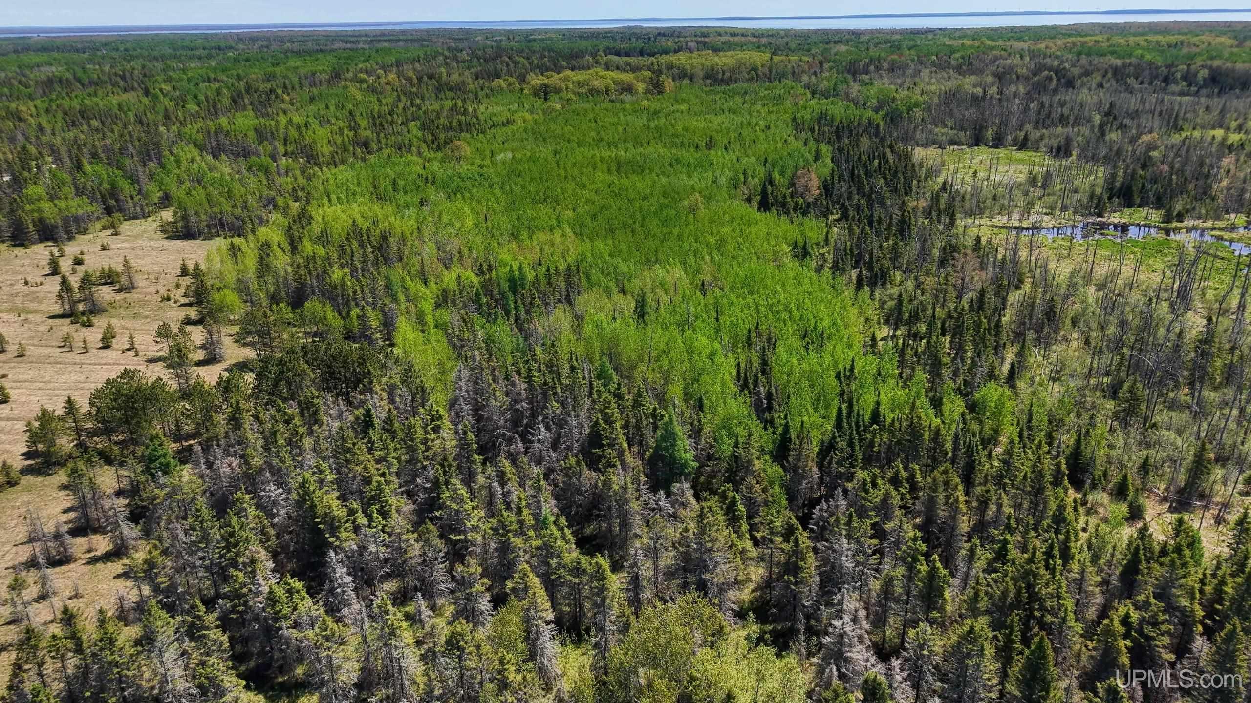 Tbd Co Rd 511 / Y5 Road, Unit STONINGTON Rapid River, MI 49878 - Photo 11 of 21