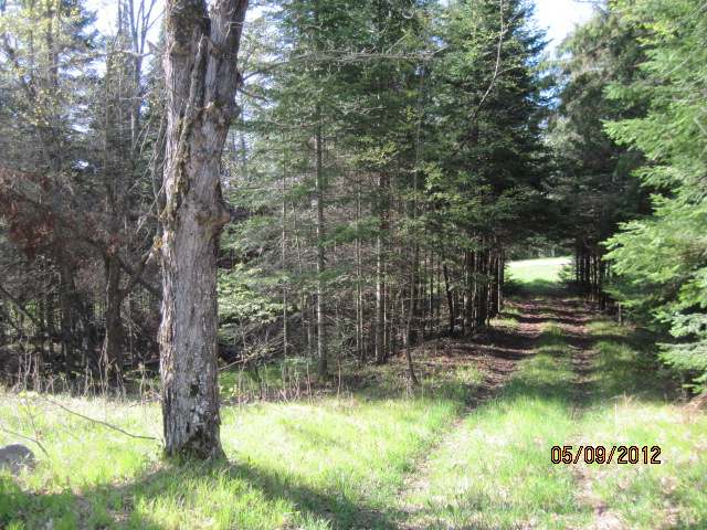 73556 Morse Road Glidden, WI 54527 - Photo 6 of 15 Gallery Image 6
