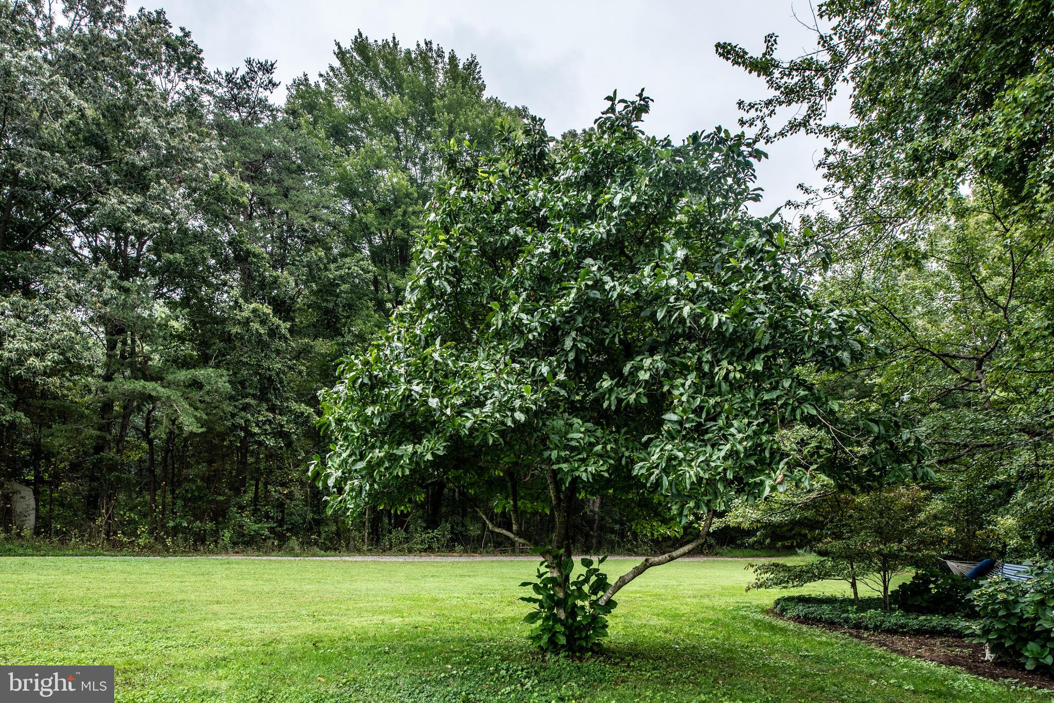 29366 Tatum Road Unionville, VA 22567 - Photo 31 of 40 Gallery Image 31
