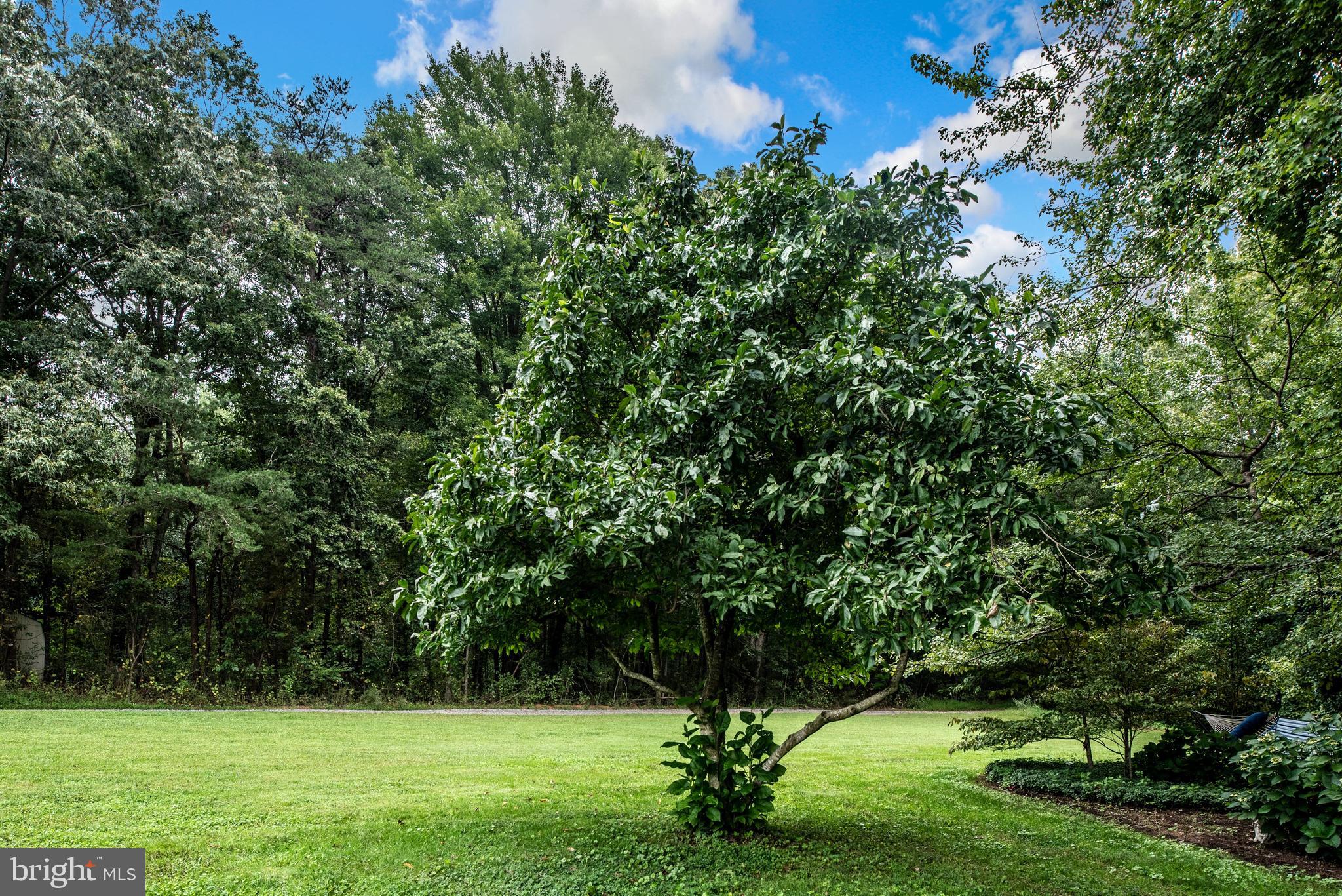 29366 Tatum Road Unionville, VA 22567 - Photo 32 of 40 Gallery Image 32