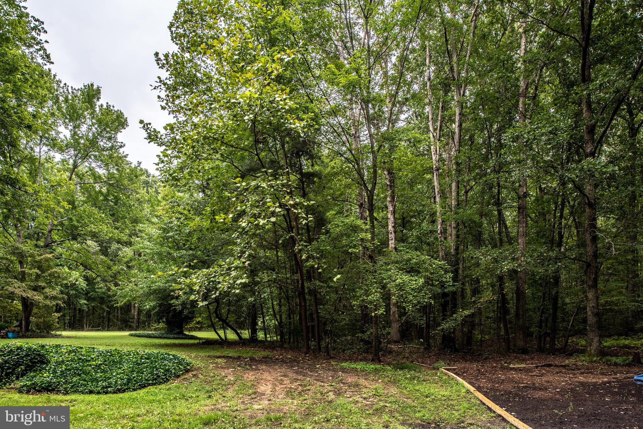 29366 Tatum Road Unionville, VA 22567 - Photo 33 of 40 Gallery Image 33
