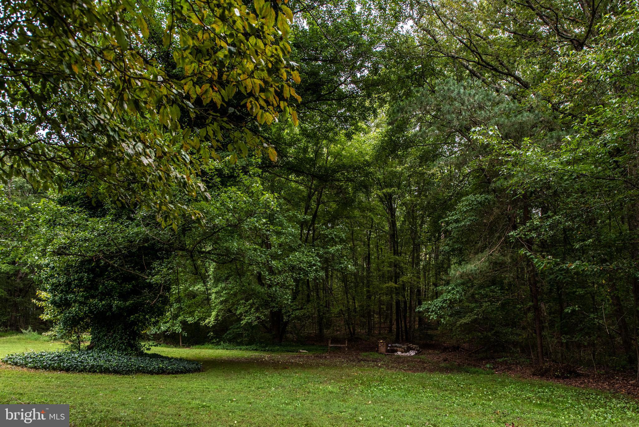 29366 Tatum Road Unionville, VA 22567 - Photo 34 of 40 Gallery Image 34