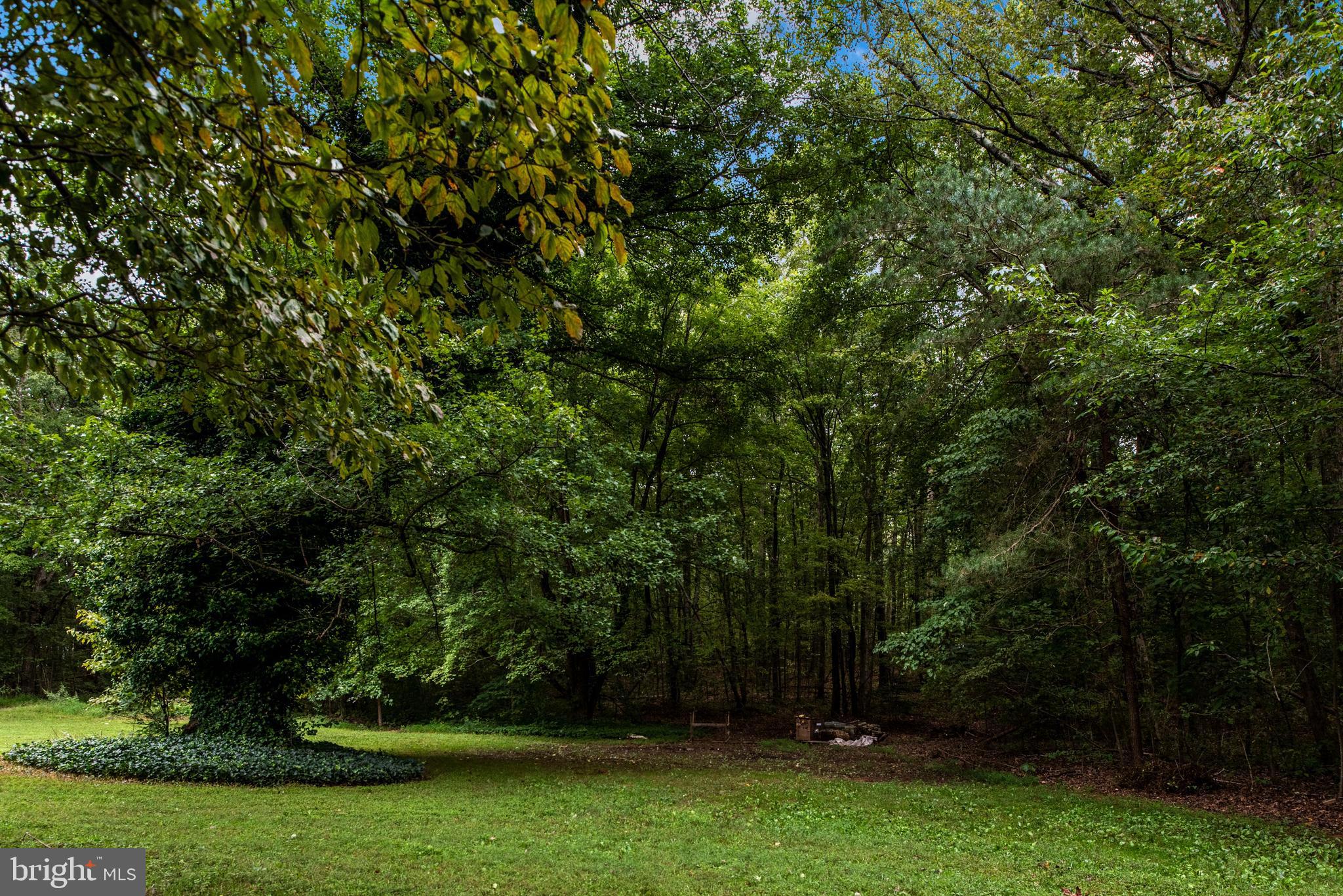 29366 Tatum Road Unionville, VA 22567 - Photo 35 of 40 Gallery Image 35