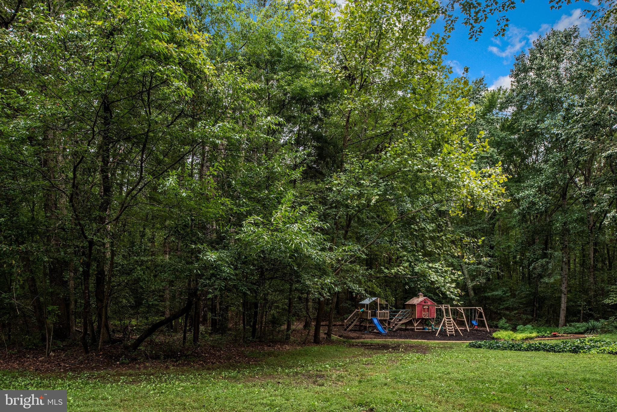 29366 Tatum Road Unionville, VA 22567 - Photo 38 of 40 Gallery Image 38