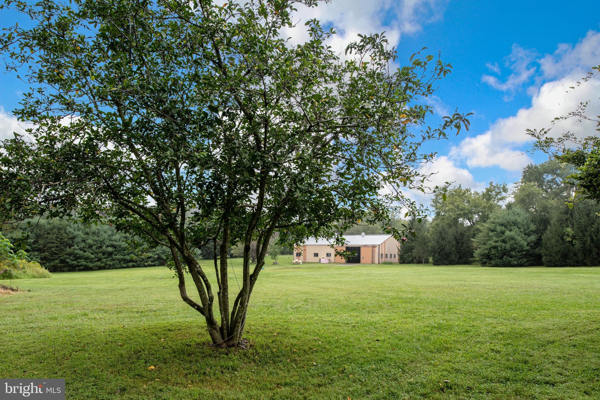 29366 Tatum Road Unionville, VA 22567 - Photo 39 of 40 Gallery Image 39