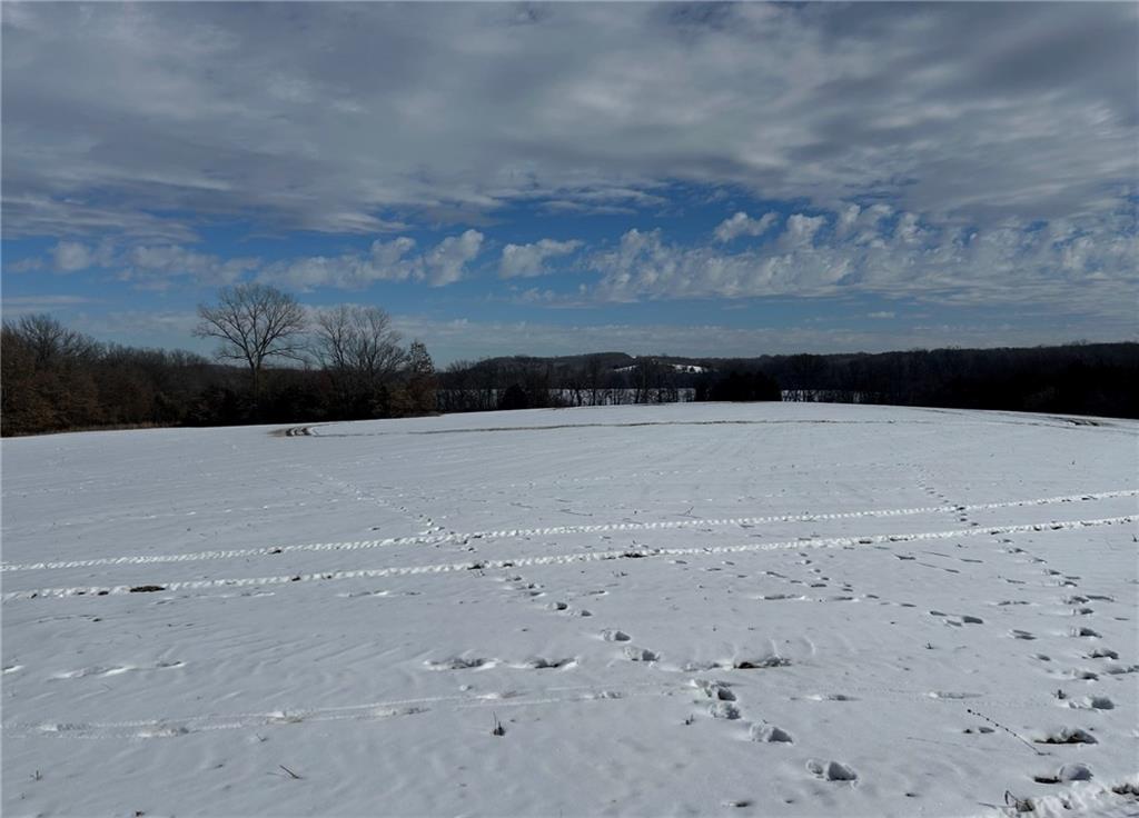 34914 East Colbern Road Lone Jack, MO 64070 - Photo 21 of 22