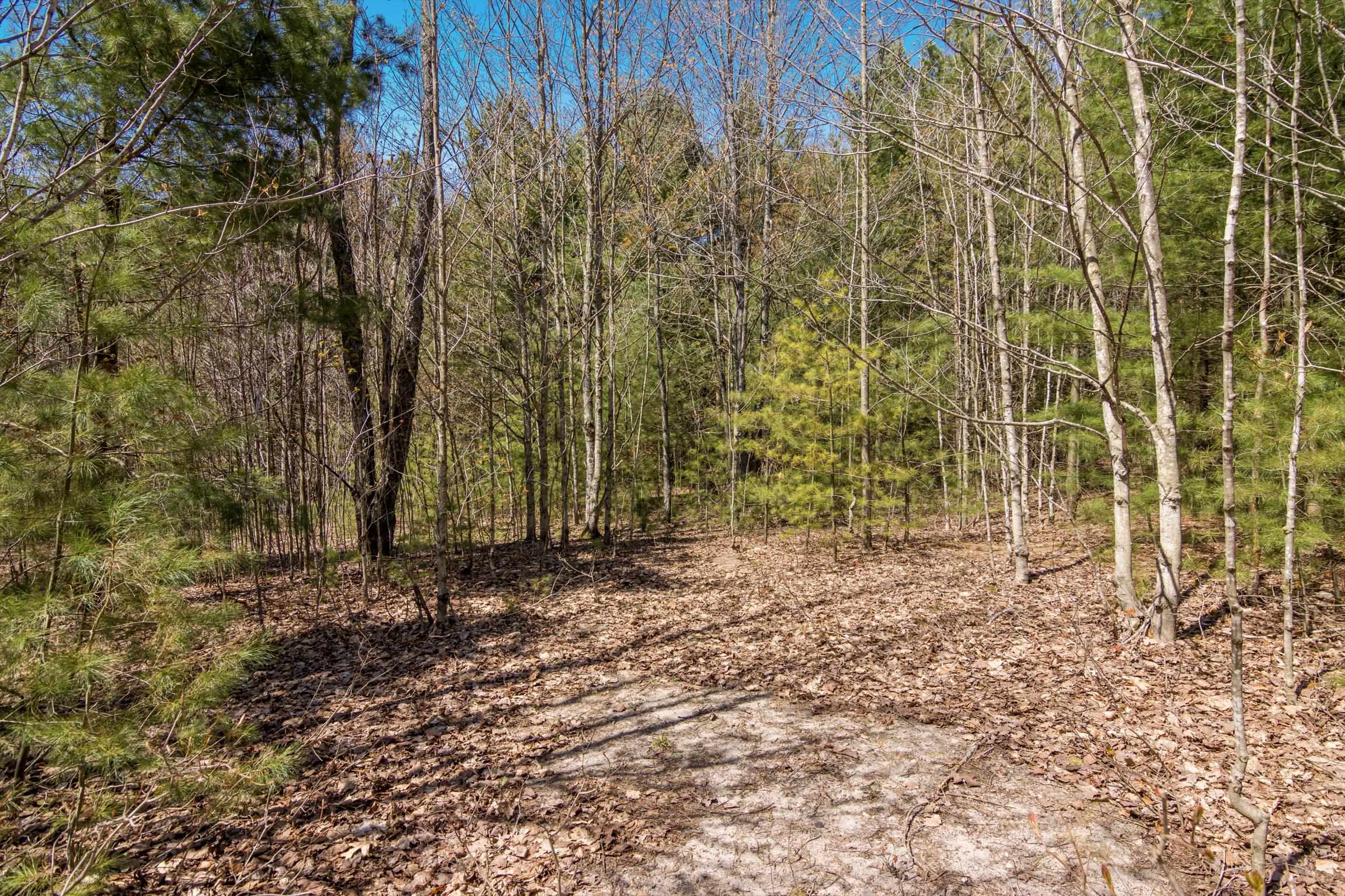 2 Woodland Trail, Unit PARCEL 2 Cedar, MI 49621 - Photo 3 of 19