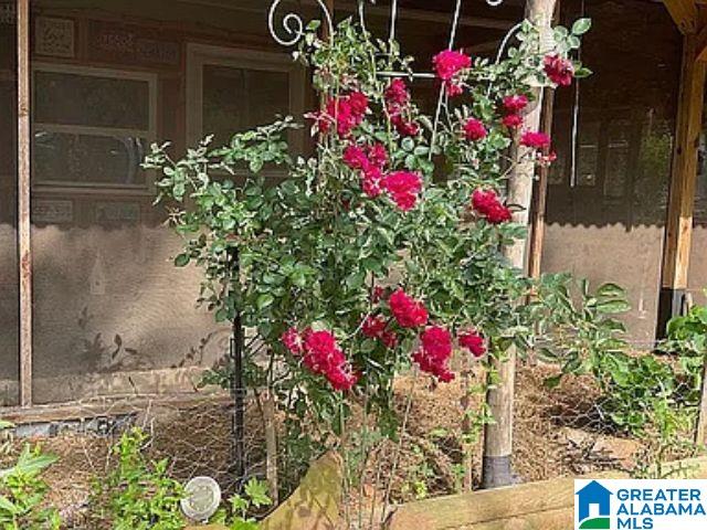 237 Marion Stough Road Fayette, AL 35555 - Photo 57 of 59