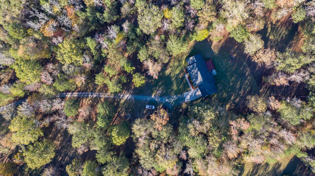855 Baker Road Waverly Hall, GA 31831 - Photo 20 of 28 Gallery Image 20