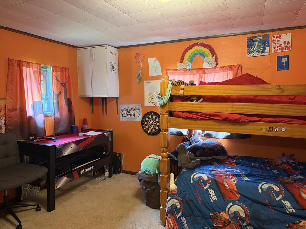 1396 Bark Shanty Road Austin, PA 16720 - Photo 34 of 34 Gallery Image 34