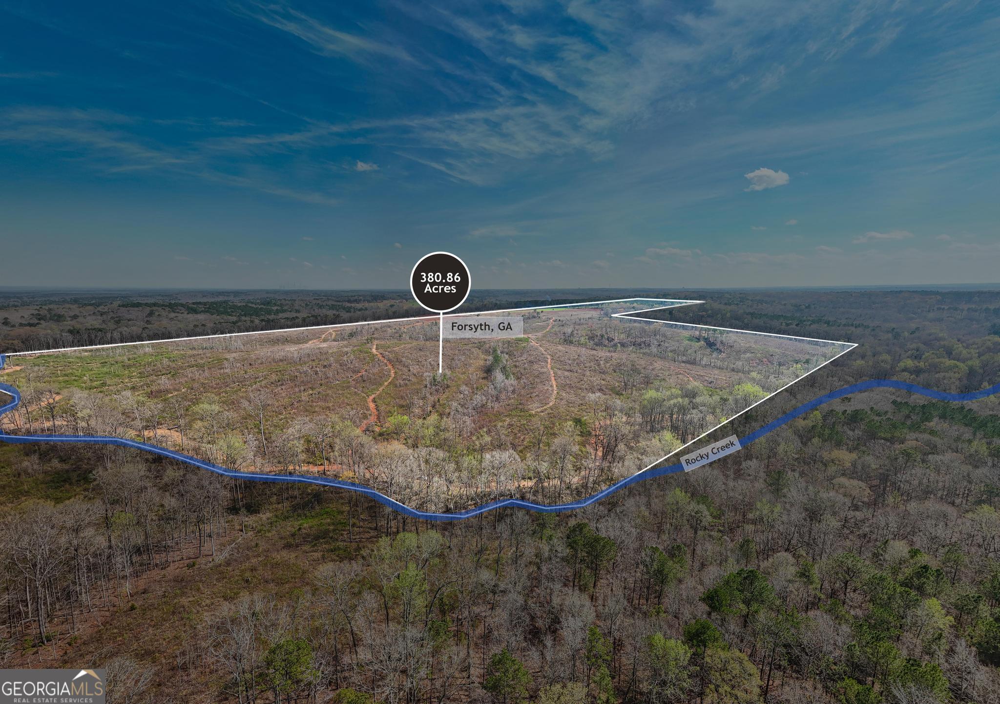 449 McMullen Road Forsyth, GA 31029 - Photo 11 of 26