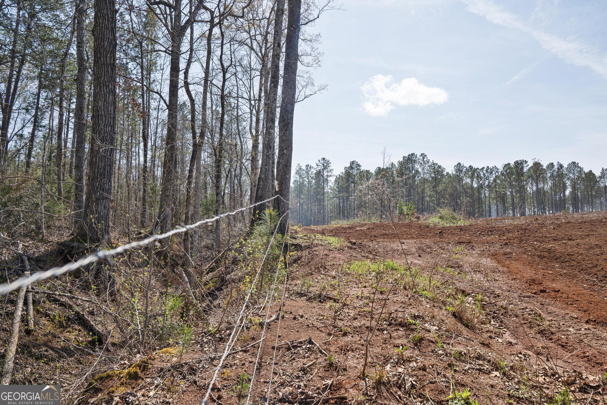 449 McMullen Road Forsyth, GA 31029 - Photo 12 of 26