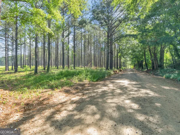 $1,900,000 | 449 McMullen Road, Forsyth, GA 31029