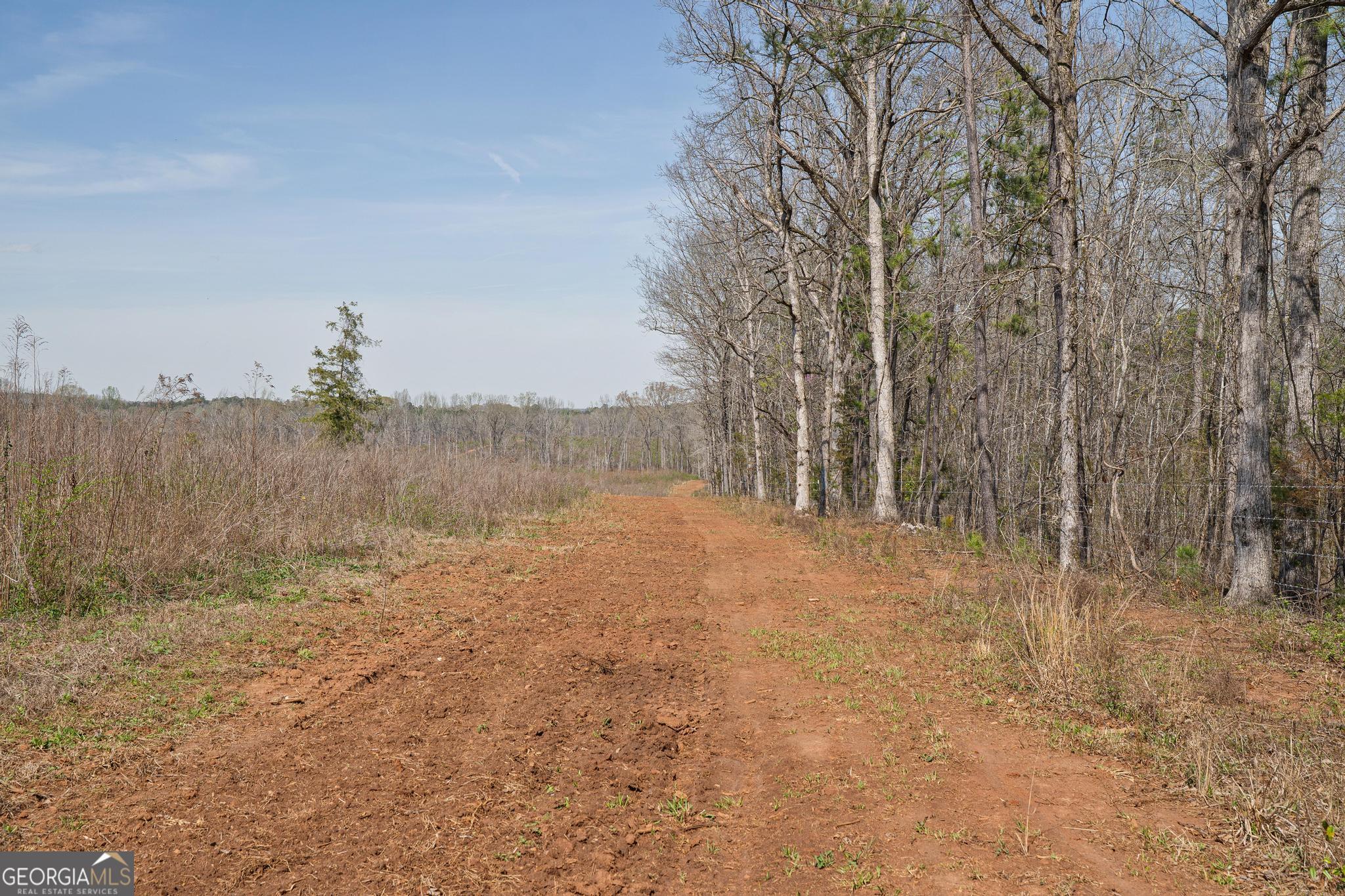 449 McMullen Road Forsyth, GA 31029 - Photo 14 of 26