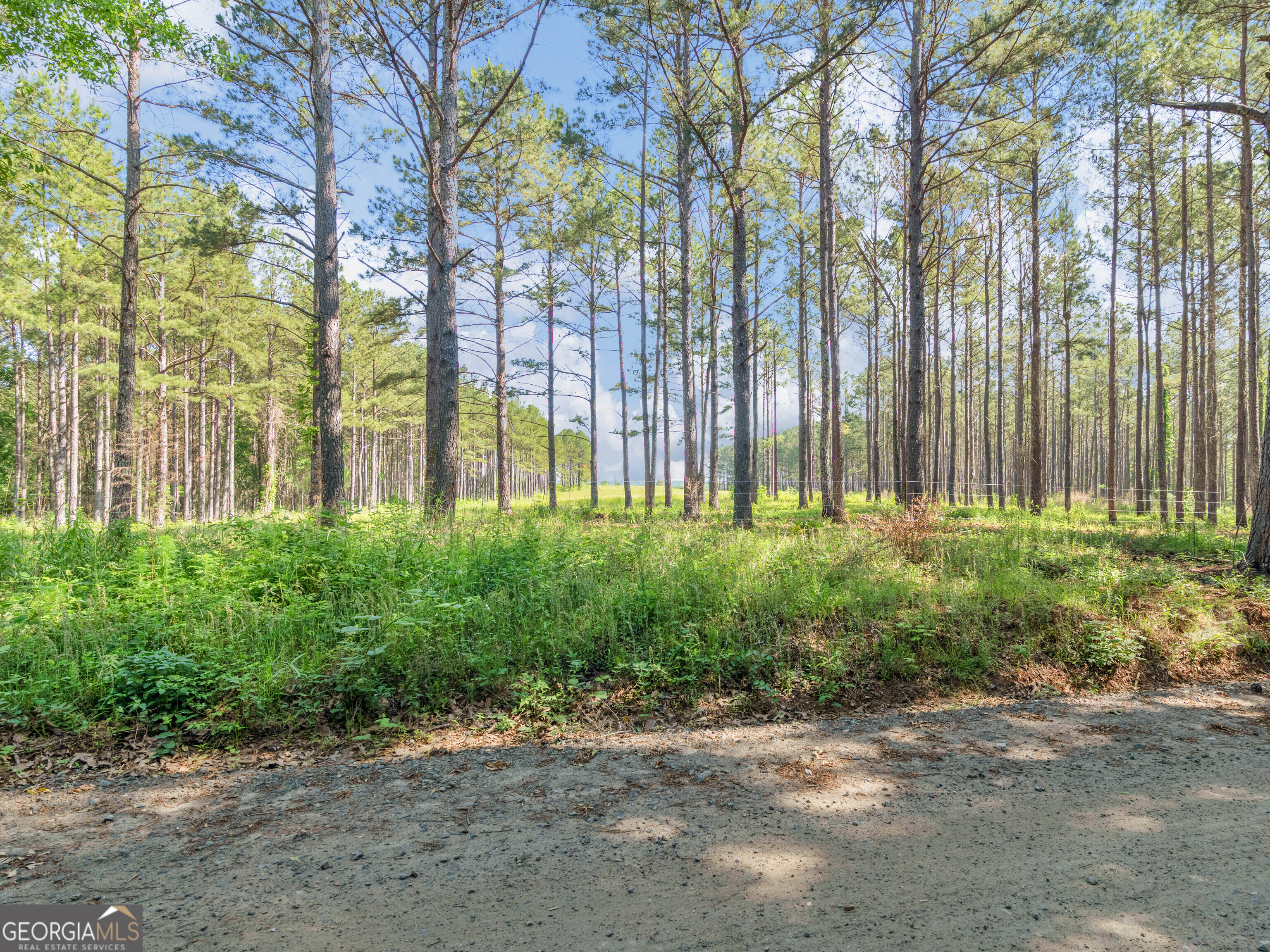 449 McMullen Road Forsyth, GA 31029 - Photo 15 of 26