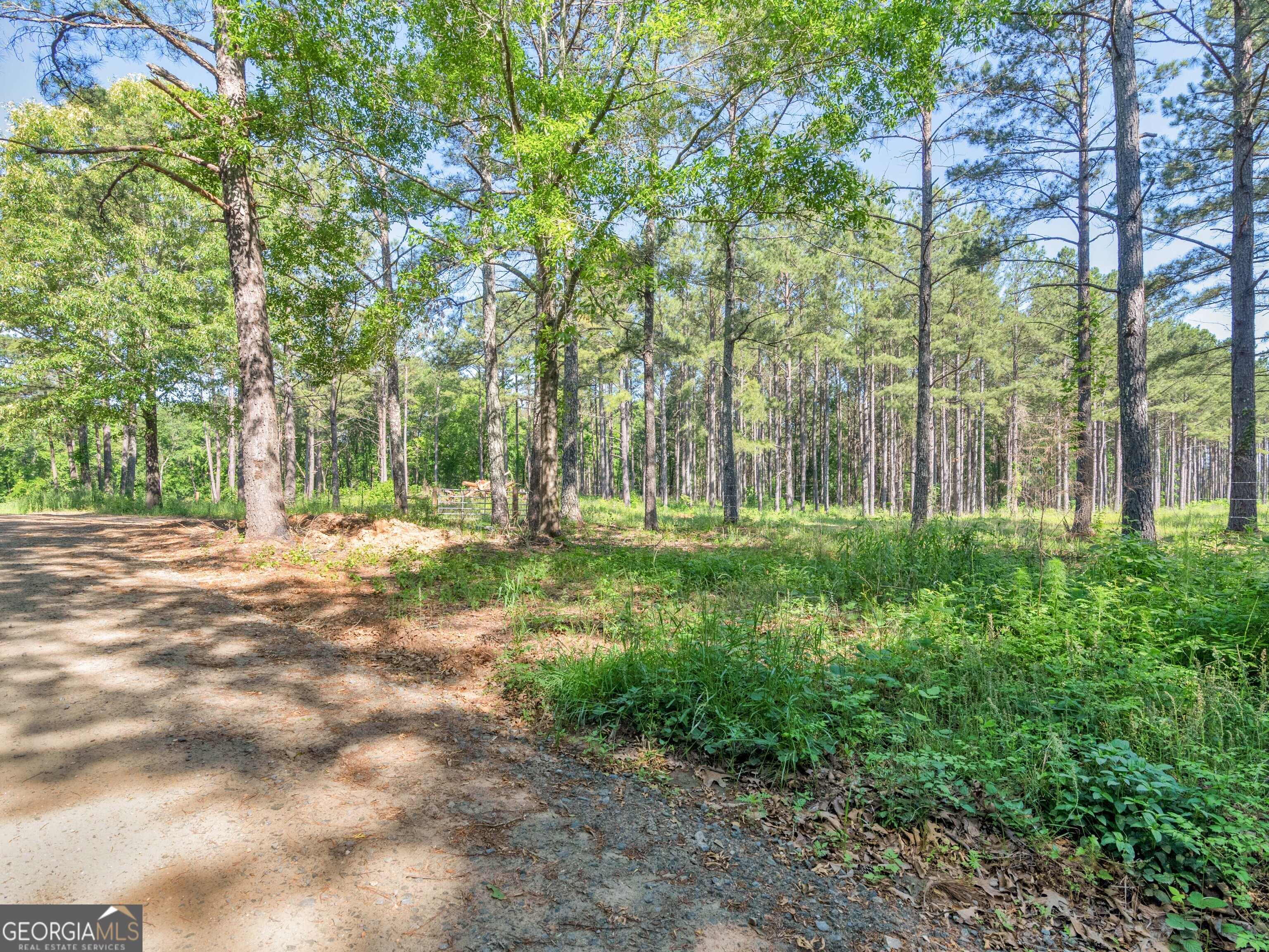 449 McMullen Road Forsyth, GA 31029 - Photo 16 of 26