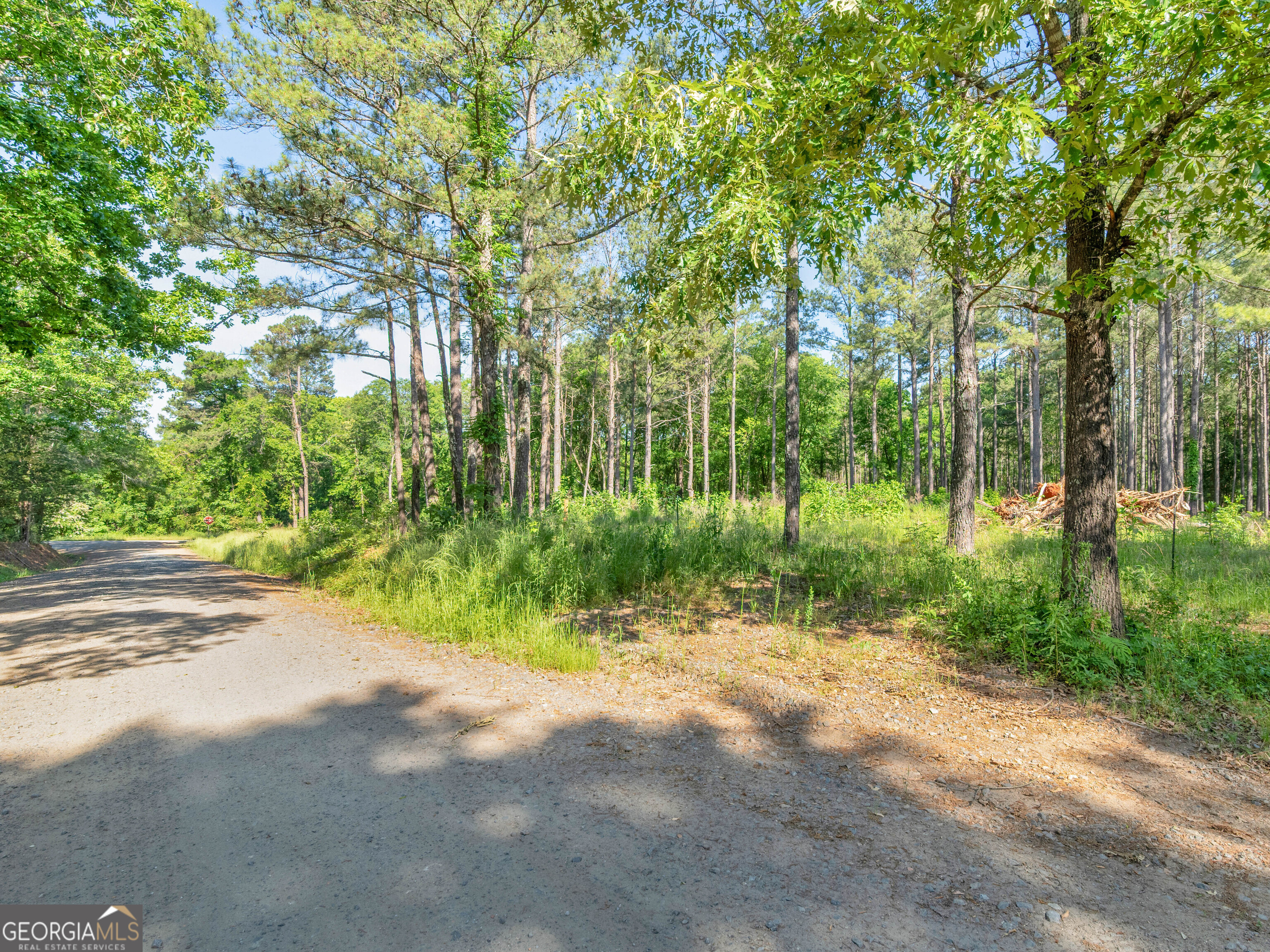 449 McMullen Road Forsyth, GA 31029 - Photo 18 of 26