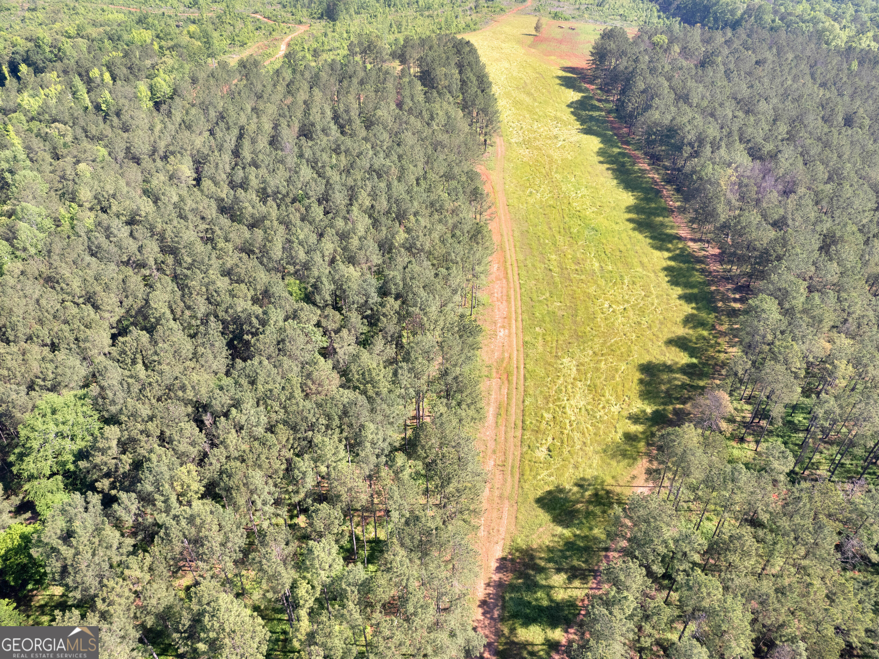 449 McMullen Road Forsyth, GA 31029 - Photo 19 of 26