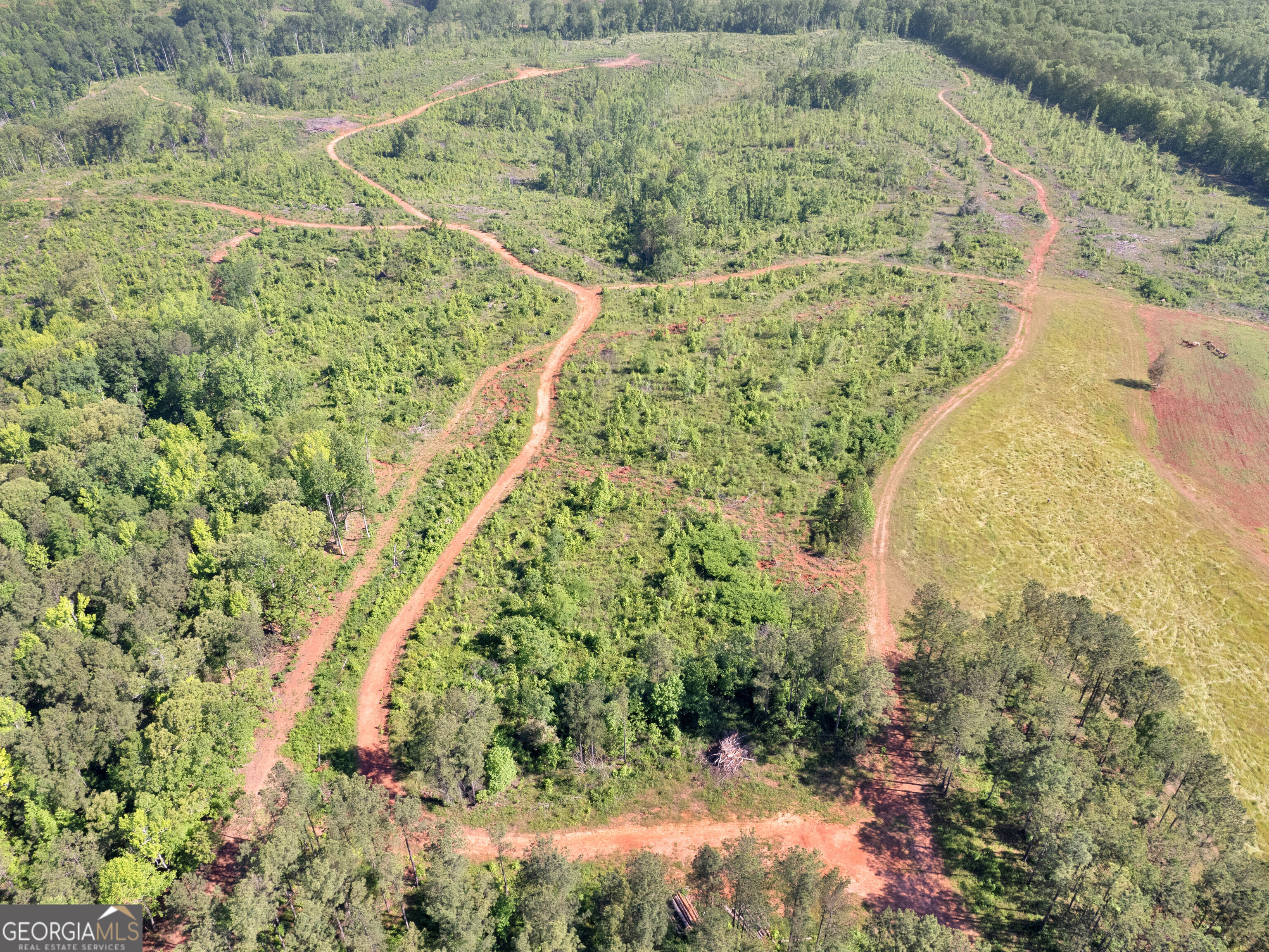 449 McMullen Road Forsyth, GA 31029 - Photo 20 of 26