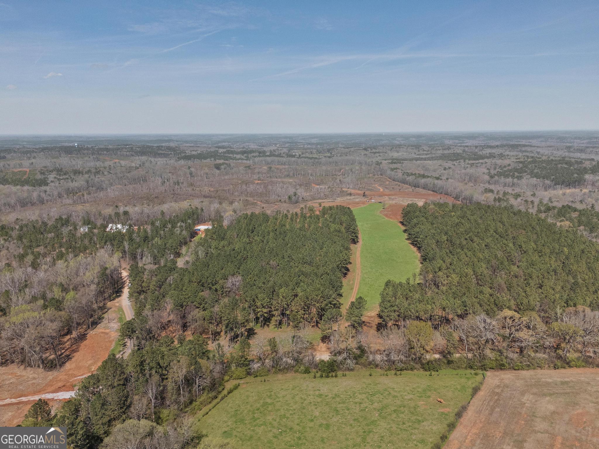 449 McMullen Road Forsyth, GA 31029 - Photo 3 of 26