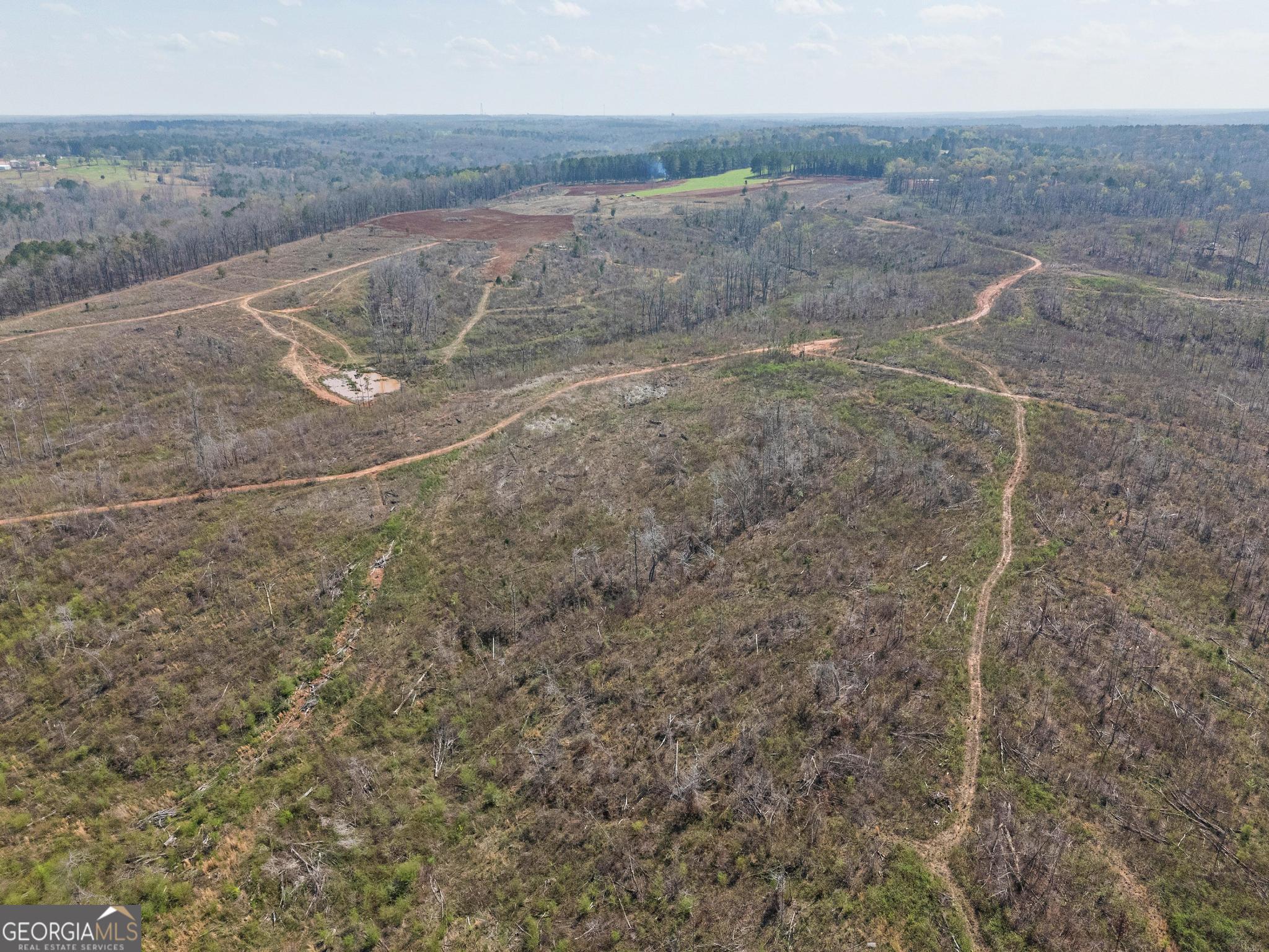 449 McMullen Road Forsyth, GA 31029 - Photo 4 of 26