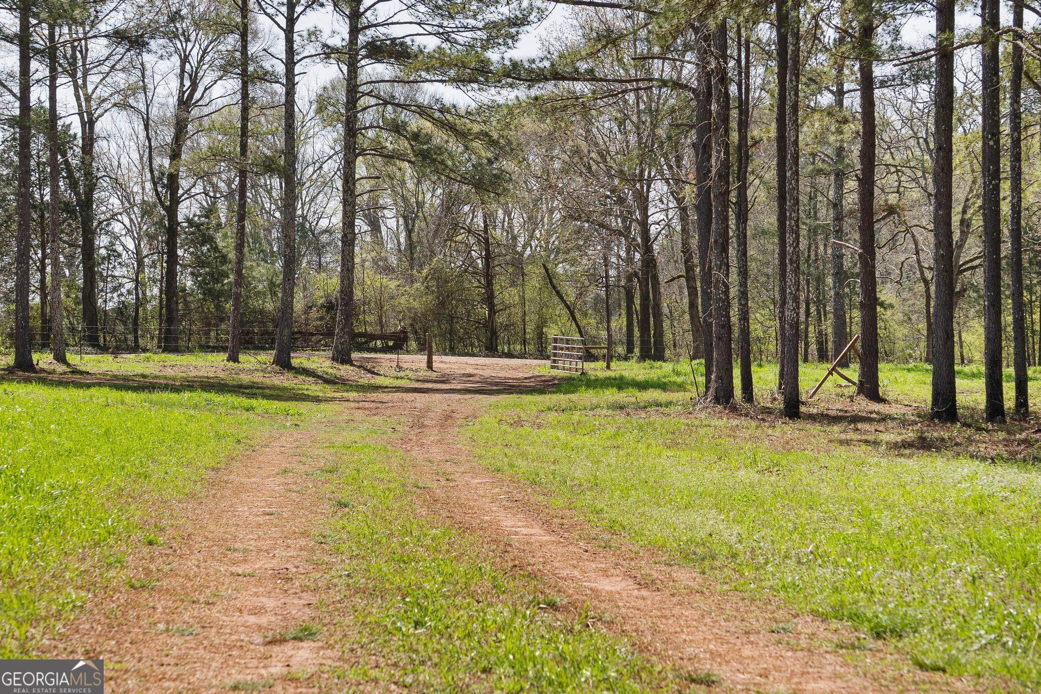 449 McMullen Road Forsyth, GA 31029 - Photo 5 of 26